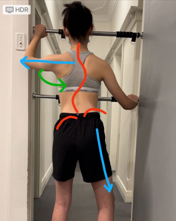 Door Pull-up Bars